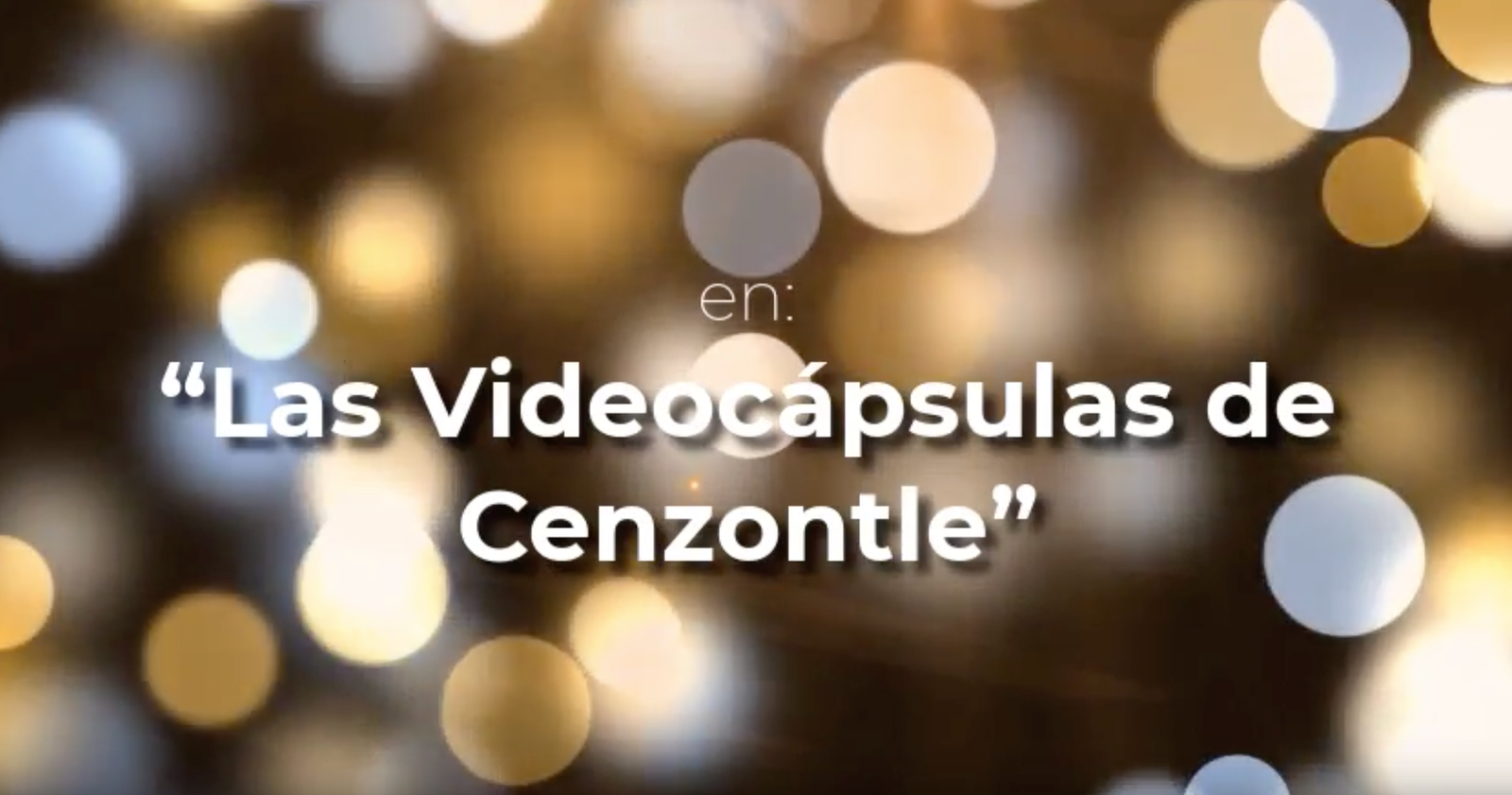 Video Capsulas – Cenzontle